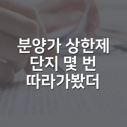 분양가 상한제 단지 몇 번 따라가봤더니, 싸게 보이는 가격 뒤에 이런 계산이 있었습니다 - 요약