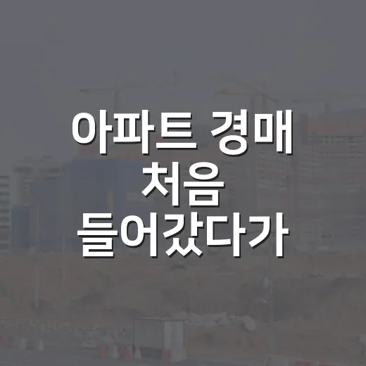 아파트 경매 처음 들어갔다가 입찰표 앞에서 손 떨렸던 진짜 이야기 - 요약