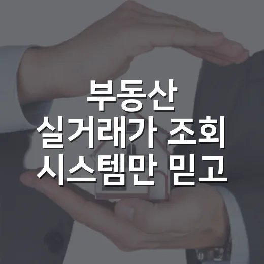 부동산 실거래가 조회 시스템만 믿고 입찰했다가 식은땀 난 이야기 - 요약