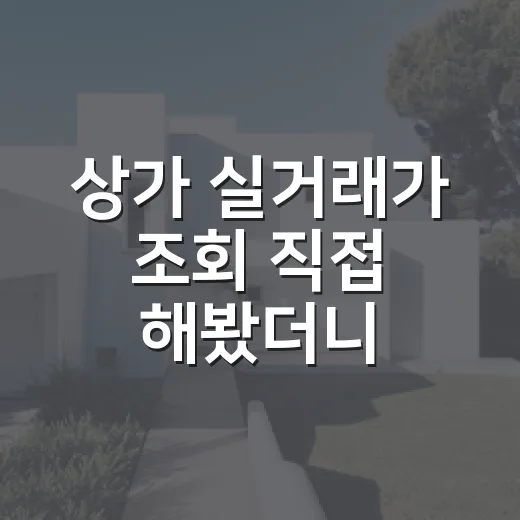 상가 실거래가 조회 직접 해봤더니, 초보가 숫자만 믿으면 틀리는 이유 - 요약