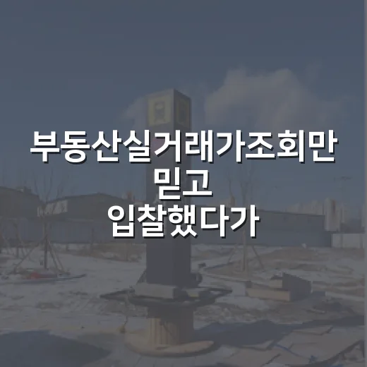 부동산실거래가조회만 믿고 입찰했다가 식은땀 난 이야기 - 요약