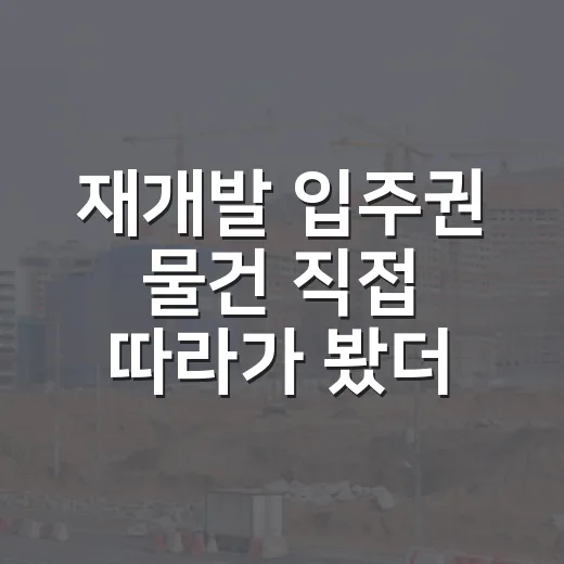 재개발 입주권 물건 직접 따라가 봤더니, 싸 보이는 권리가 제일 비쌌습니다 - 요약