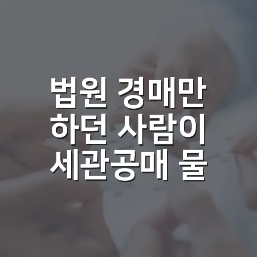 법원 경매만 하던 사람이 세관공매 물건을 직접 들여다봤더니 보인 것들 - 요약
