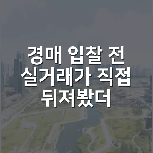 경매 입찰 전 실거래가 직접 뒤져봤더니, 숫자 하나가 낙찰가를 바꿨습니다 - 요약