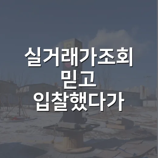 실거래가조회 믿고 입찰했다가 현장에서 다시 계산해본 이야기 - 요약