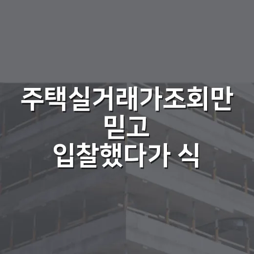 주택실거래가조회만 믿고 입찰했다가 식은땀 흘린 날 - 요약
