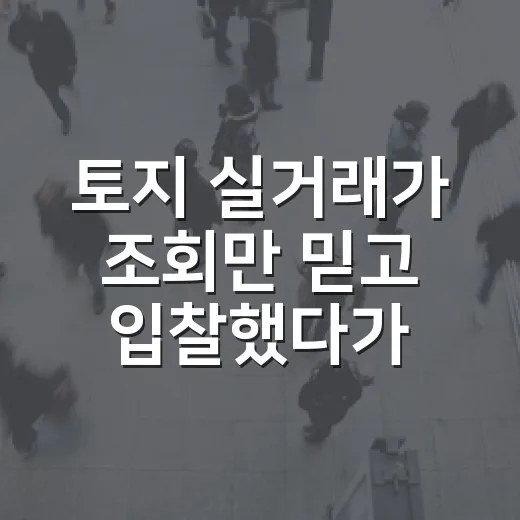토지 실거래가 조회만 믿고 입찰했다가 식은땀 난 이야기 - 요약