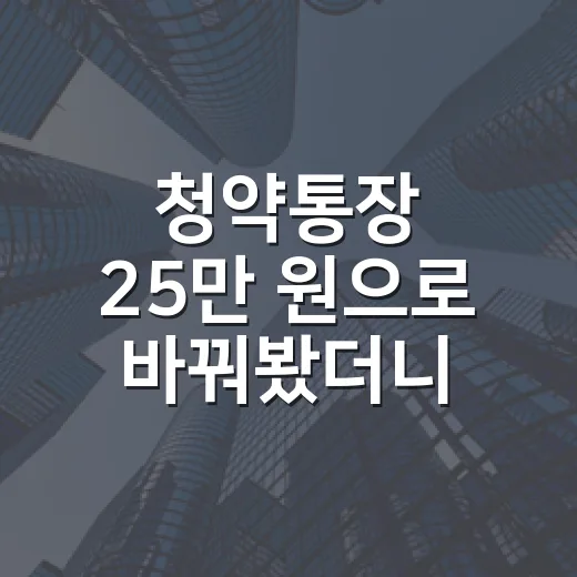 청약통장 25만 원으로 바꿔봤더니, 경매 투자자 눈에는 이렇게 보였습니다 - 요약