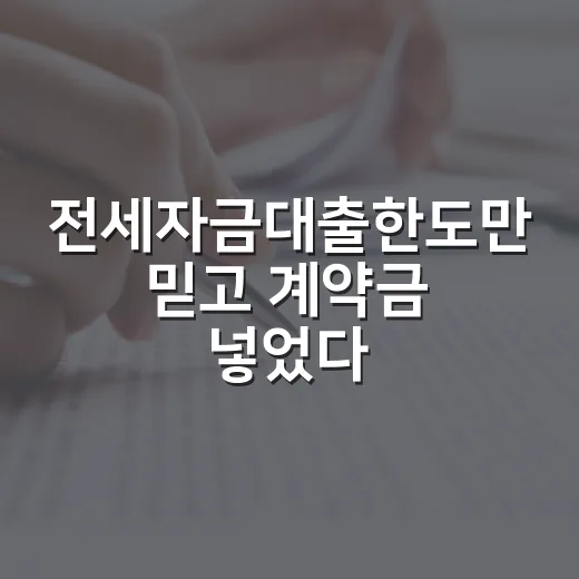 전세자금대출한도만 믿고 계약금 넣었다가 식은땀 난 이야기 - 요약