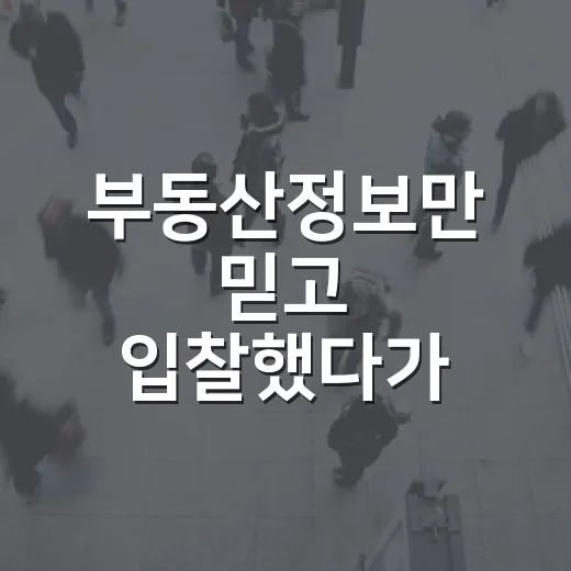 부동산정보만 믿고 입찰했다가 현장에서 식은땀 난 이야기 - 요약
