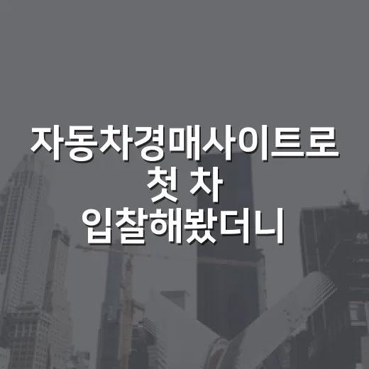 자동차경매사이트로 첫 차 입찰해봤더니, 부동산 경매보다 더 빨리 털리는 돈이 있더라 - 요약