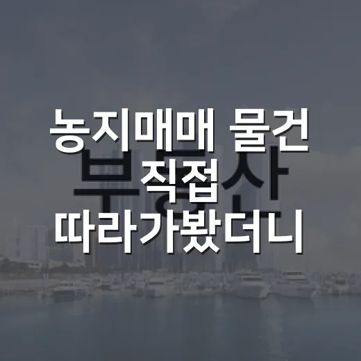 농지매매 물건 직접 따라가봤더니, 싼 땅보다 무서운 건 따로 있었습니다 - 요약
