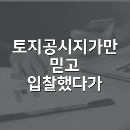 토지공시지가만 믿고 입찰했다가 계산서가 달라진 이야기 - 요약