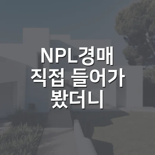 NPL경매 직접 들어가 봤더니, 싸게 보이는 물건에 숨어 있던 진짜 비용 - 요약