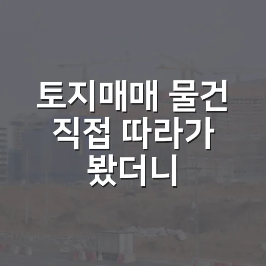 토지매매 물건 직접 따라가 봤더니, 싸다고 덥석 잡으면 생기는 일 - 요약