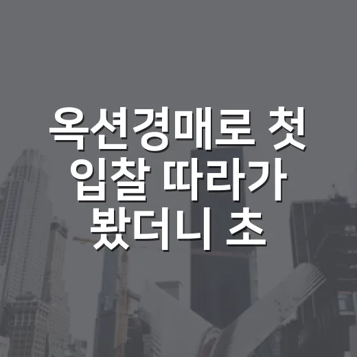 옥션경매로 첫 입찰 따라가 봤더니 초보가 제일 먼저 놓치는 것들 - 요약