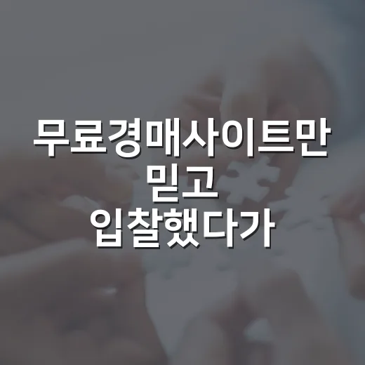 무료경매사이트만 믿고 입찰했다가 현장에서 식은땀 난 이야기 - 요약