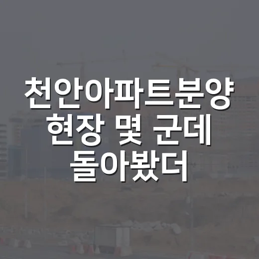 천안아파트분양 현장 몇 군데 돌아봤더니 숫자보다 먼저 보이는 것들 - 요약