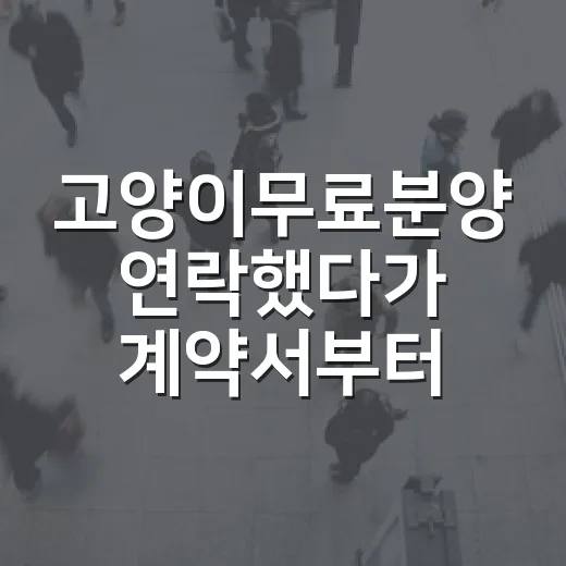 고양이무료분양 연락했다가 계약서부터 다시 본 이야기 - 요약