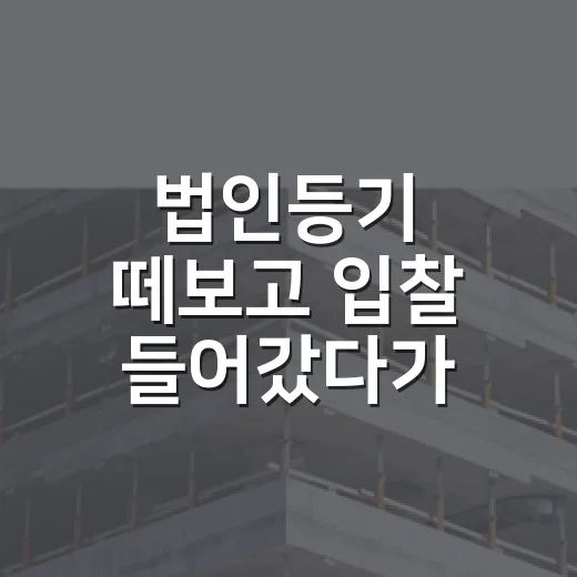 법인등기 떼보고 입찰 들어갔다가 3천만 원 지킨 이야기 - 요약