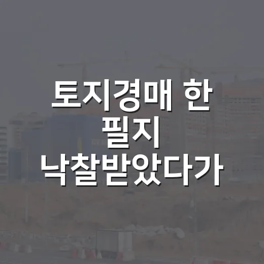 토지경매 한 필지 낙찰받았다가 잔금 날 식은땀 흘린 이야기 - 요약