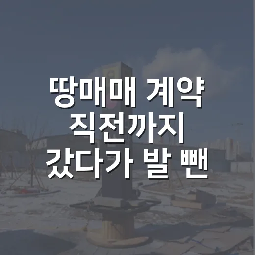 땅매매 계약 직전까지 갔다가 발 뺀 이야기, 싸다고 다 땅은 아니더라 - 요약