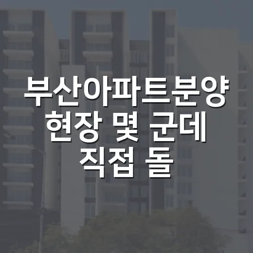 부산아파트분양 현장 몇 군데 직접 돌아보니 숫자보다 먼저 보인 것들 - 요약