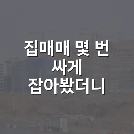 집매매 몇 번 싸게 잡아봤더니, 진짜 돈은 계약 전에 새더군요 - 요약