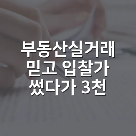 부동산실거래 믿고 입찰가 썼다가 3천만 원 낮춘 현장 이야기 - 요약