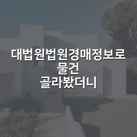 대법원법원경매정보로 물건 골라봤더니 초보가 빠지는 구멍이 보였습니다 - 요약