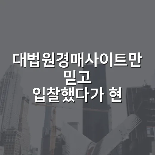대법원경매사이트만 믿고 입찰했다가 현장에서 식은땀 난 이야기 - 요약