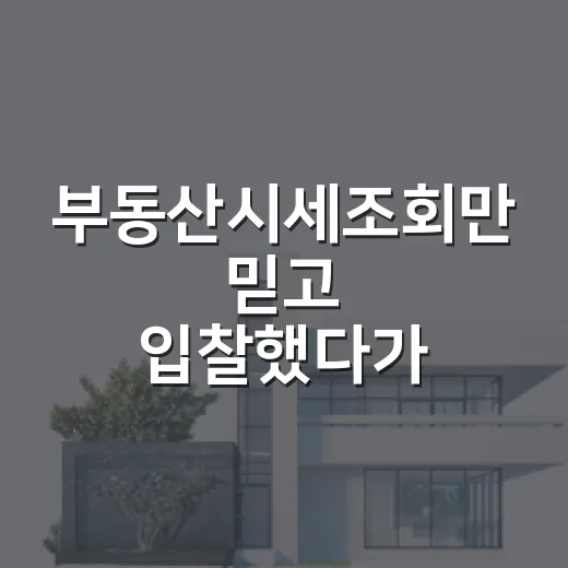 부동산시세조회만 믿고 입찰했다가 현장에서 식은땀 난 이야기 - 요약