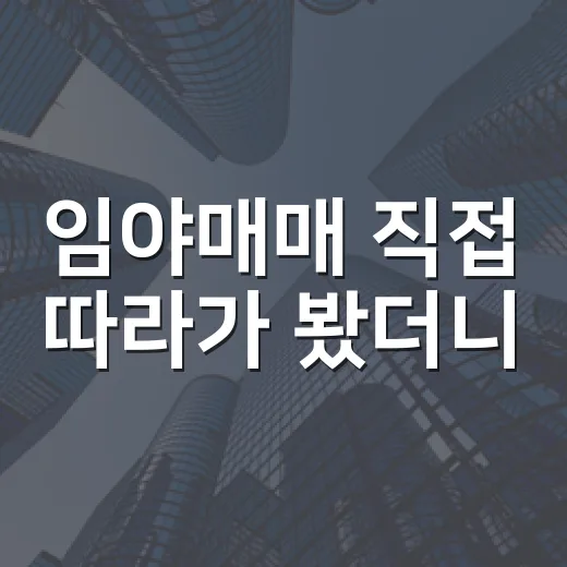 임야매매 직접 따라가 봤더니, 싼 땅보다 무서운 건 따로 있었습니다 - 요약
