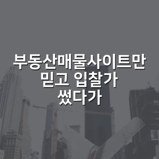 부동산매물사이트만 믿고 입찰가 썼다가 현장에서 다시 계산한 이야기 - 요약
