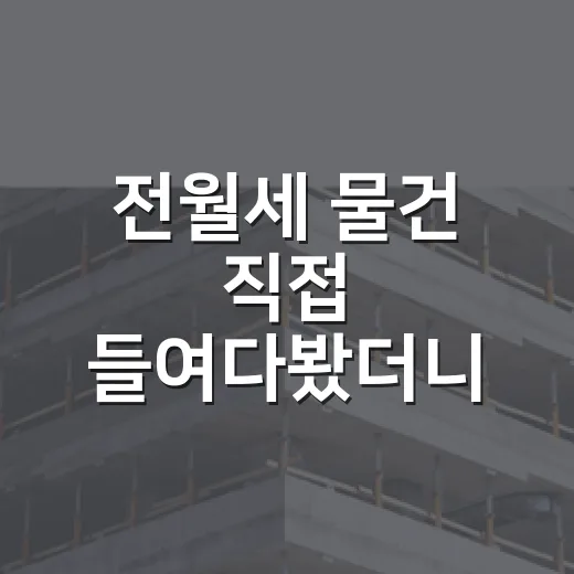 전월세 물건 직접 들여다봤더니, 싼 집보다 무서운 건 따로 있었습니다 - 요약