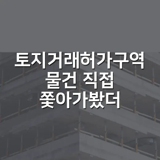 토지거래허가구역 물건 직접 쫓아가봤더니, 싼 가격보다 무서운 게 따로 있었습니다 - 요약