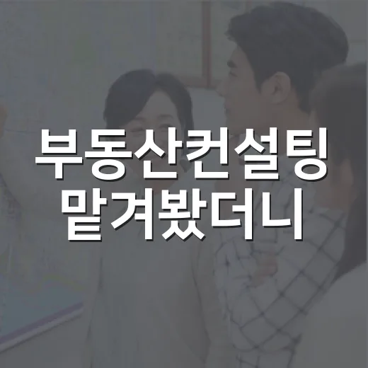 부동산컨설팅 맡겨봤더니, 초보가 가장 먼저 봐야 할 게 보였습니다 - 요약