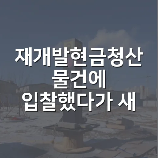 재개발현금청산 물건에 입찰했다가 새 아파트 꿈이 깨진 이야기 - 요약