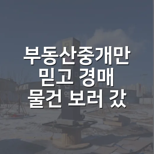 부동산중개만 믿고 경매 물건 보러 갔다가 현장에서 등기부 다시 펼친 이야기 - 요약