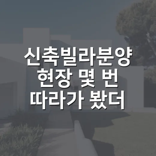 신축빌라분양 현장 몇 번 따라가 봤더니, 경매보다 무서운 순간이 있었습니다 - 요약