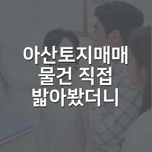 아산토지매매 물건 직접 밟아봤더니, 싼 땅보다 무서운 게 따로 있었습니다 - 요약