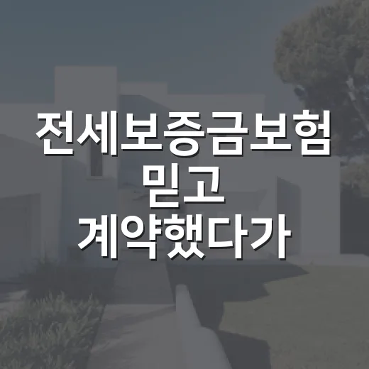 전세보증금보험 믿고 계약했다가 식은땀 난 임차인 이야기 - 요약