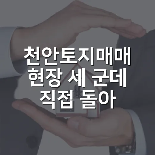 천안토지매매 현장 세 군데 직접 돌아본 뒤 달라진 생각 - 요약