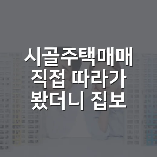 시골주택매매 직접 따라가 봤더니 집보다 땅과 길이 더 무서웠습니다 - 요약