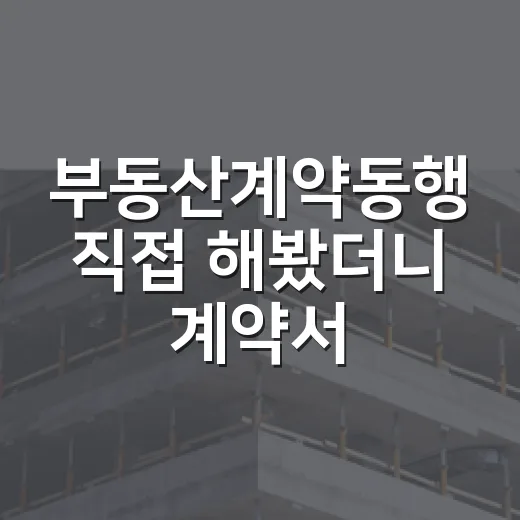 부동산계약동행 직접 해봤더니 계약서 한 줄에서 돈이 갈렸습니다 - 요약