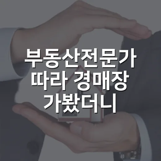 부동산전문가 따라 경매장 가봤더니, 진짜 실력은 입찰 전에 보였습니다 - 요약