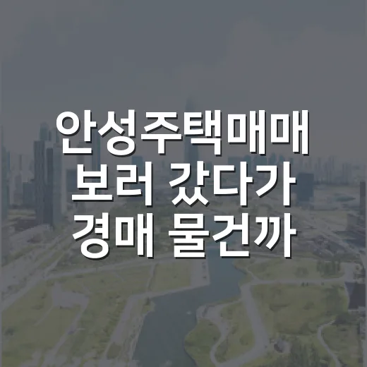 안성주택매매 보러 갔다가 경매 물건까지 비교해본 진짜 이야기 - 요약