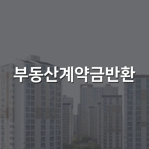 부동산계약금반환, 현장에서 직접 부딪혀보니 돈보다 문자가 더 무섭더라 - 요약