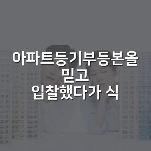 아파트등기부등본을 믿고 입찰했다가 식은땀 난 이야기 - 요약