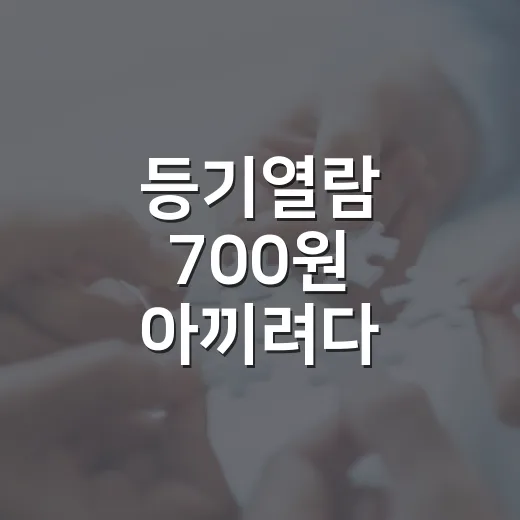 등기열람 700원 아끼려다 입찰장에서 식은땀 흘린 이야기 - 요약
